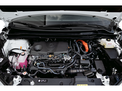 2025 Toyota Sienna Limited 7-Passenger