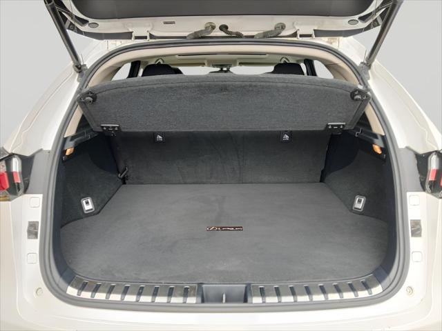 2015 Lexus NX 200t F Sport