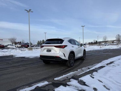 2025 Lexus NX 250 AWD