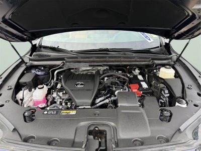 2025 Lexus RX 350 RX 350 Premium