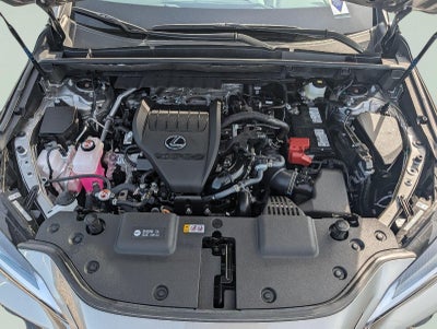 2025 Lexus NX NX 350 Premium
