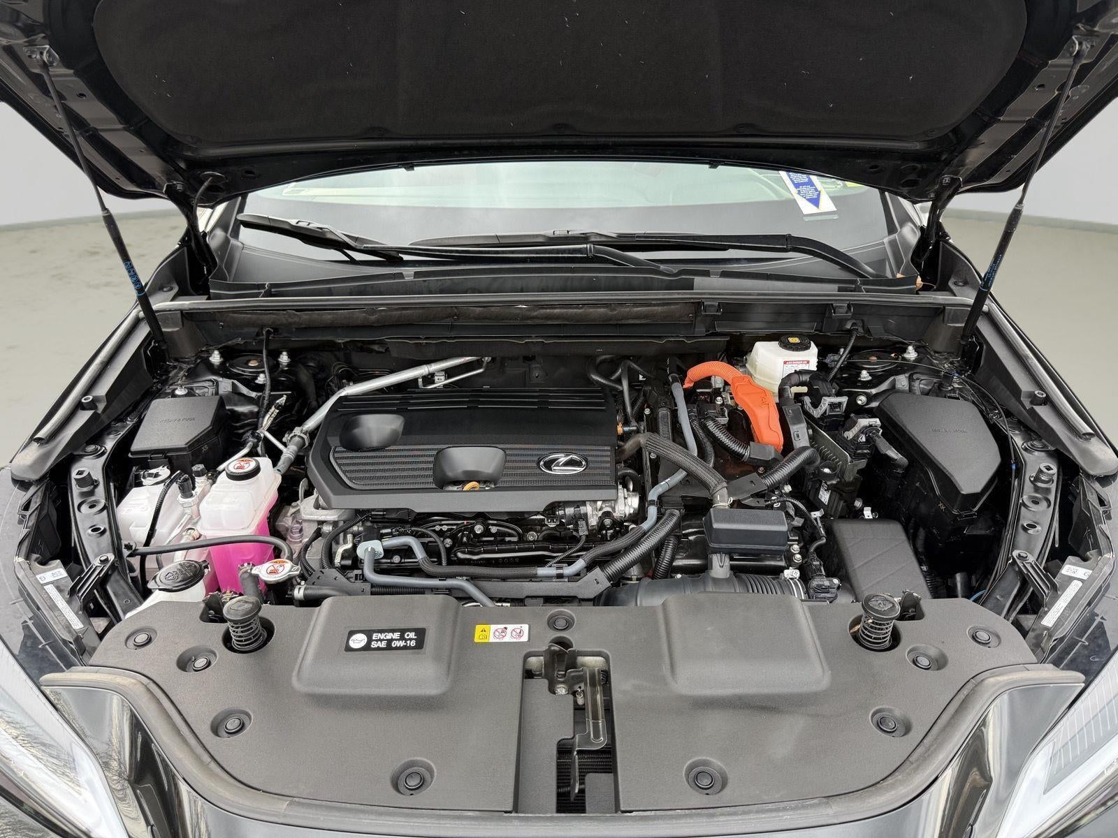 2025 Lexus NX 350h NX 350h Premium