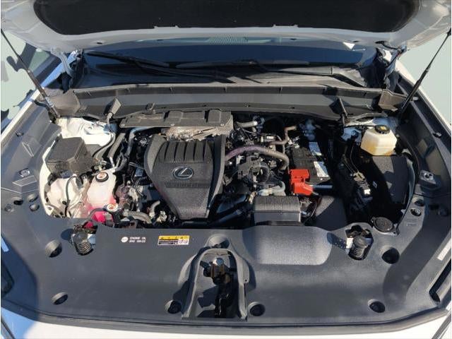 2025 Lexus TX 350 PREMIUM AWD