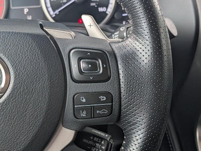 2019 Lexus NX 300 NX 300 F SPORT
