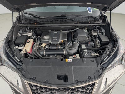 2019 Lexus NX 300 NX 300 F SPORT