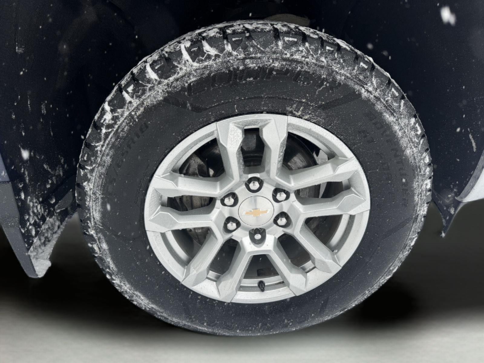 2023 Chevrolet Silverado 1500 LT (2FL)